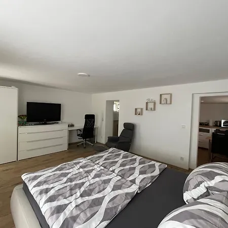 Gemuetliches In Dahlbruch Zentral-ruhige Lage Apartament